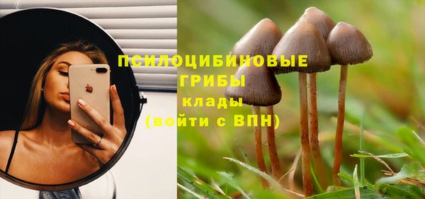каннабис Майский