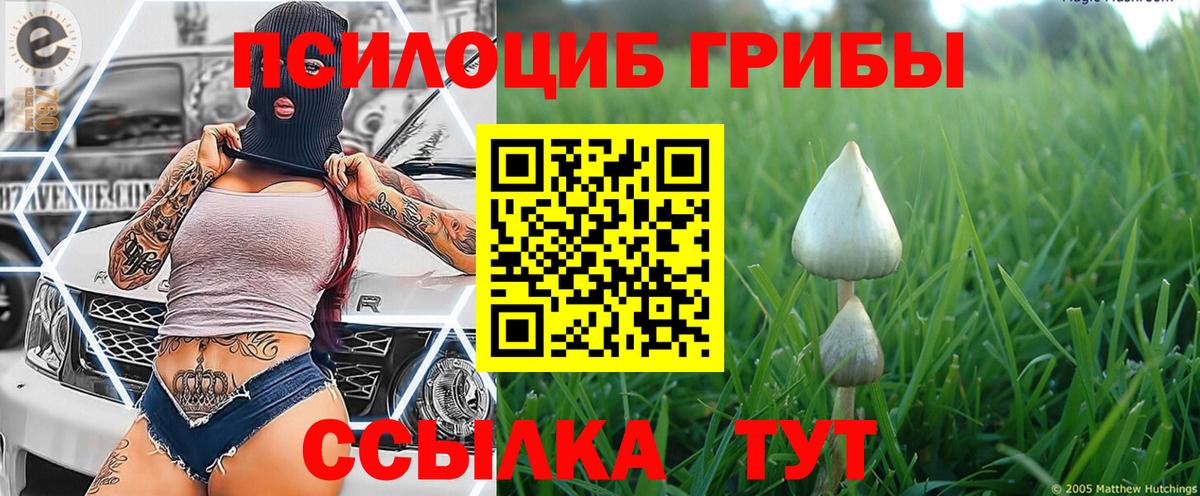 Галлюциногенные грибы ЛСД  Вход с VPN  Псилоцибиновые грибы прущие грибы  Карасук 