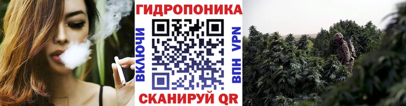 Конопля марихуана  Карасук 