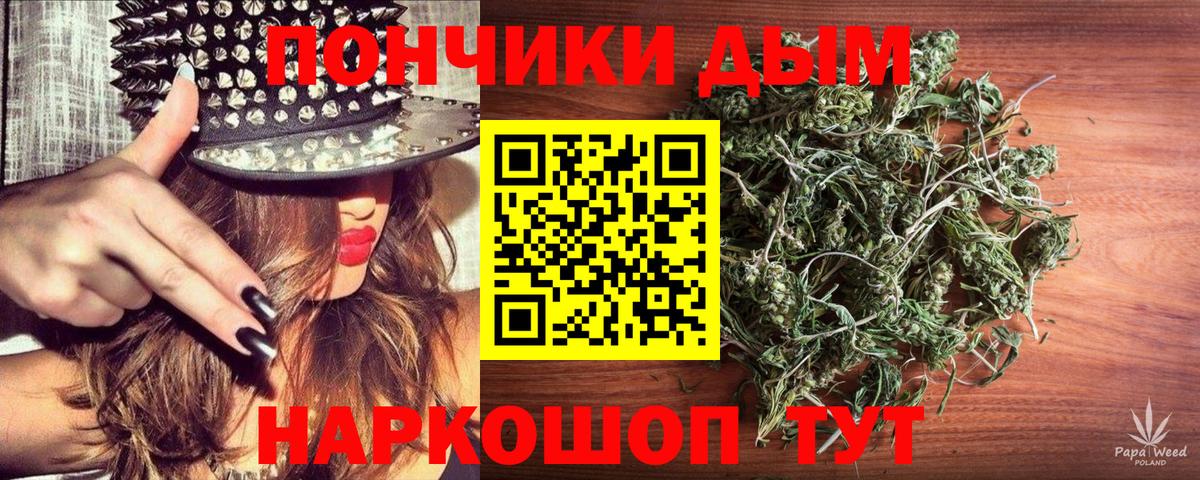Шишки марихуана планчик  Вход с VPN  Карасук  Бошки марихуана план  Конопля LSD WEED  Бошки марихуана конопля 